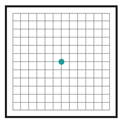 황반변성 자가진단 격자 테스트