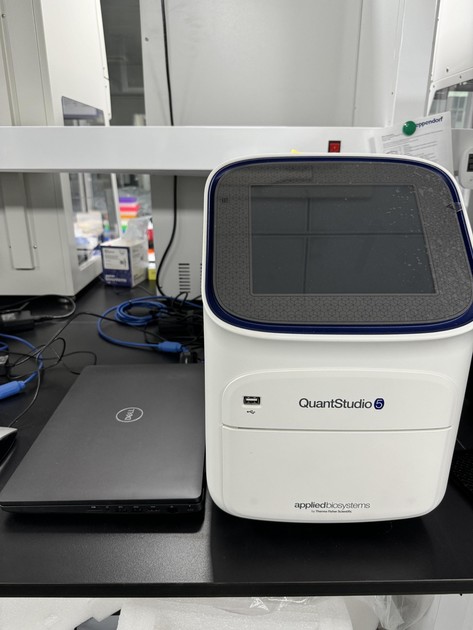 QuantStudio™ 5 Real-Time PCR System, 0.1 ml fast block : 조아랩(JoaLab)