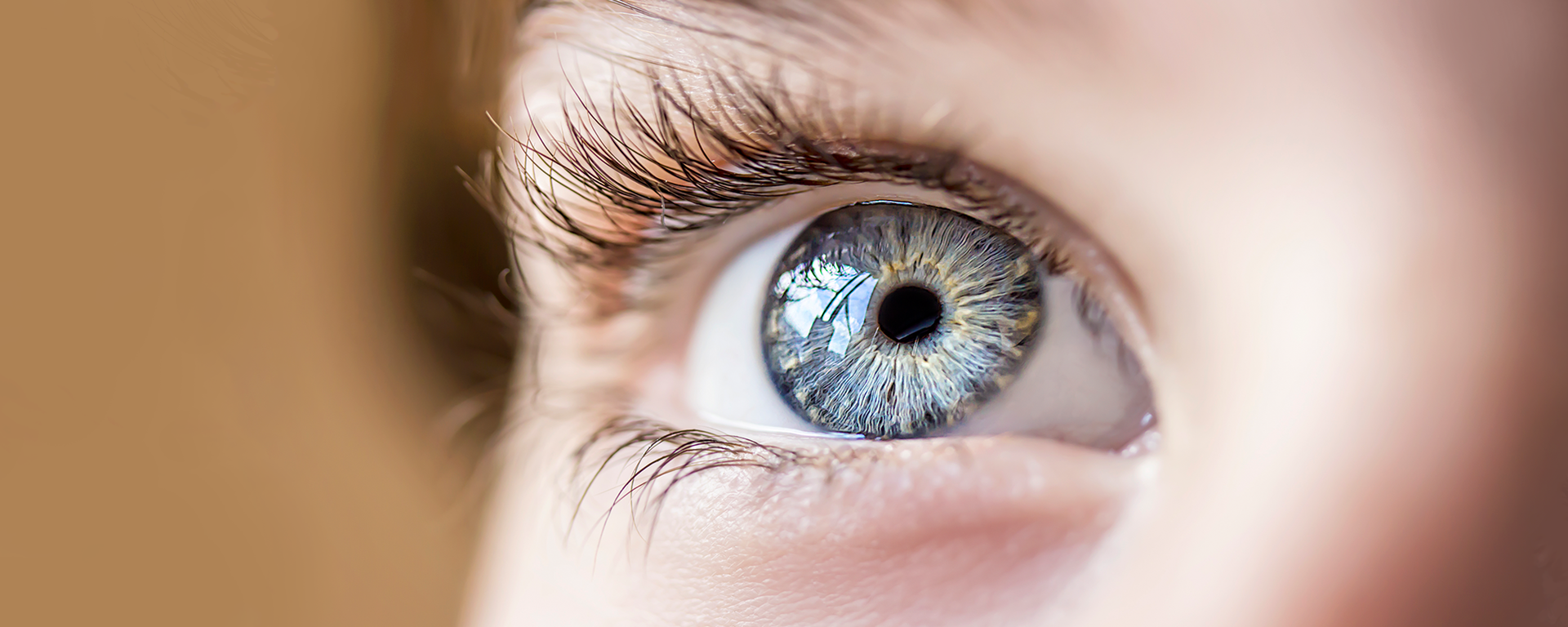 드림렌즈 예시 이미지