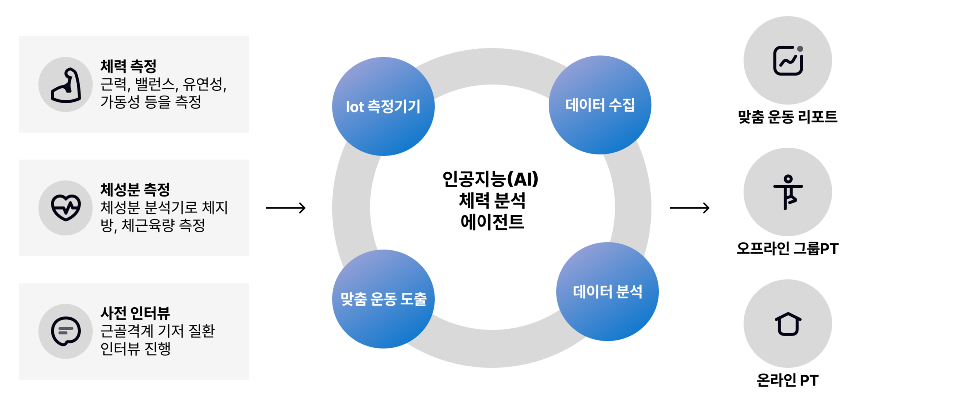 AI 시니어 체력 분석 에이전트 - 이지태닉스