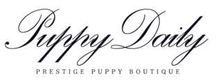 THE SOAP COMPANY