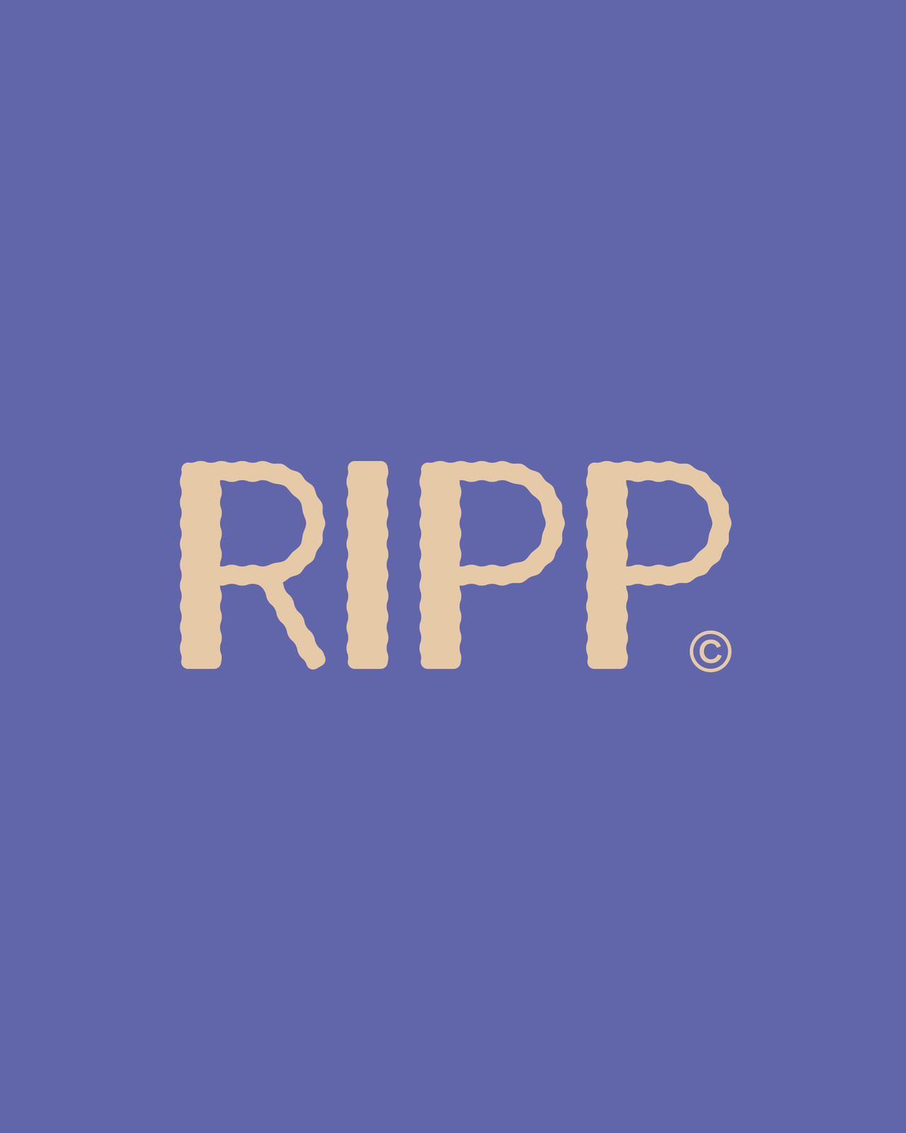 RIPP / BRAND IDENTITY DESIGN / 2024