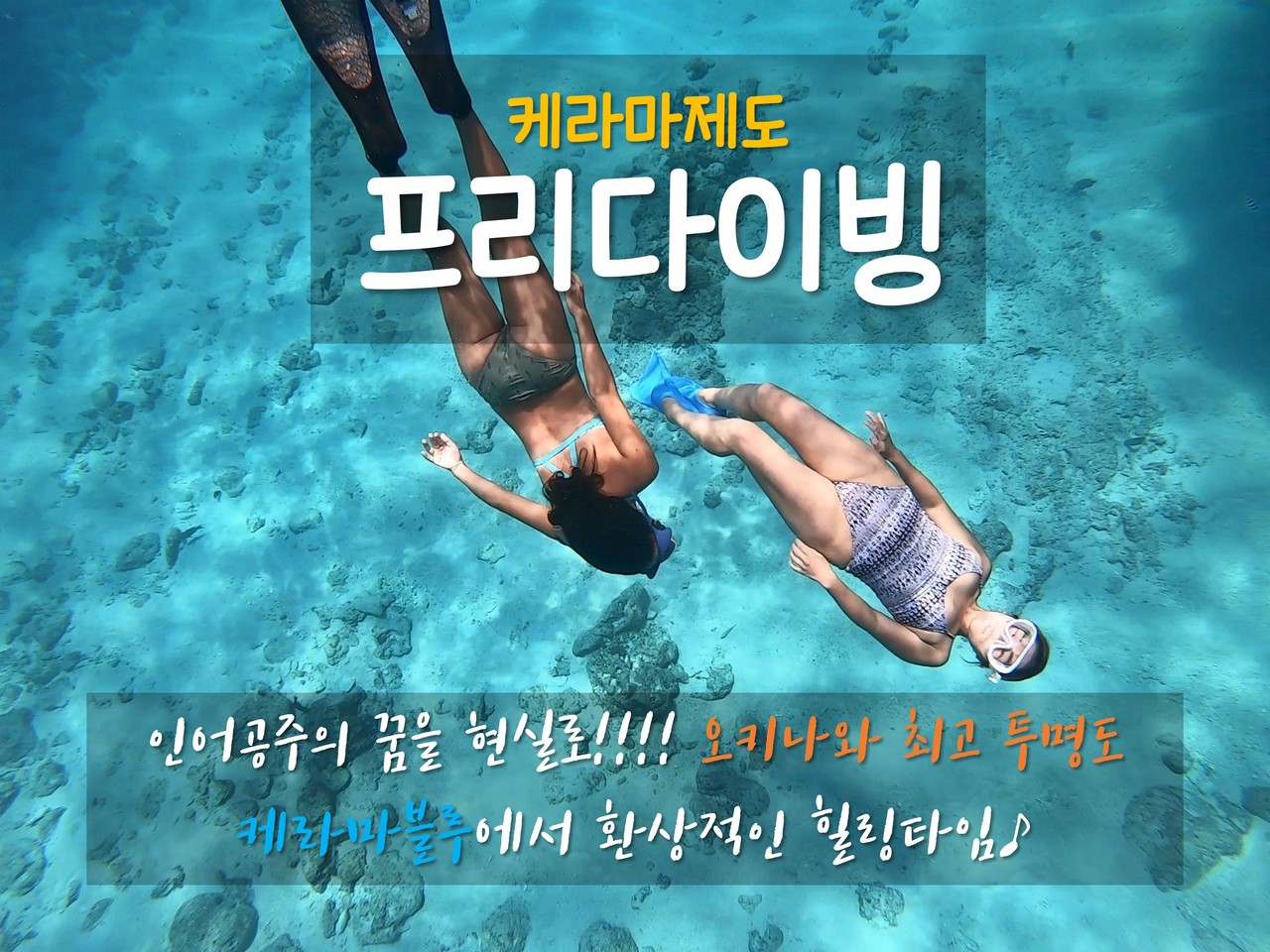 맨 몸의 자유! 프리다이빙~ 수중 인생샷은 덤!!