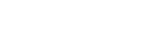 지략