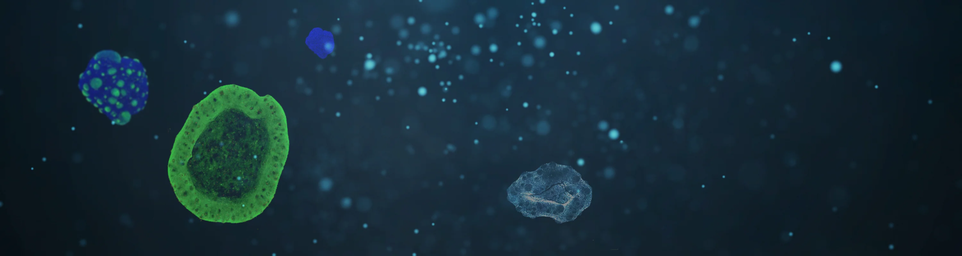 mobile background