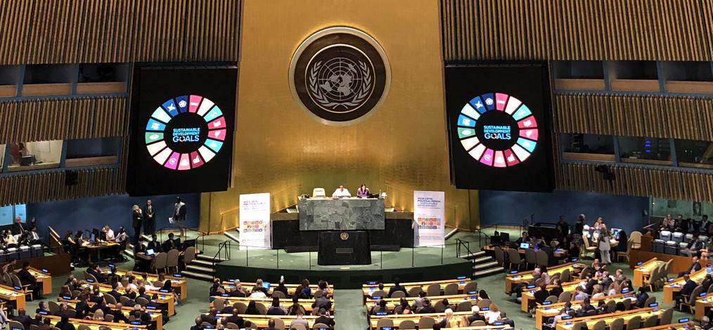 Agenda 2030 and the SDGs