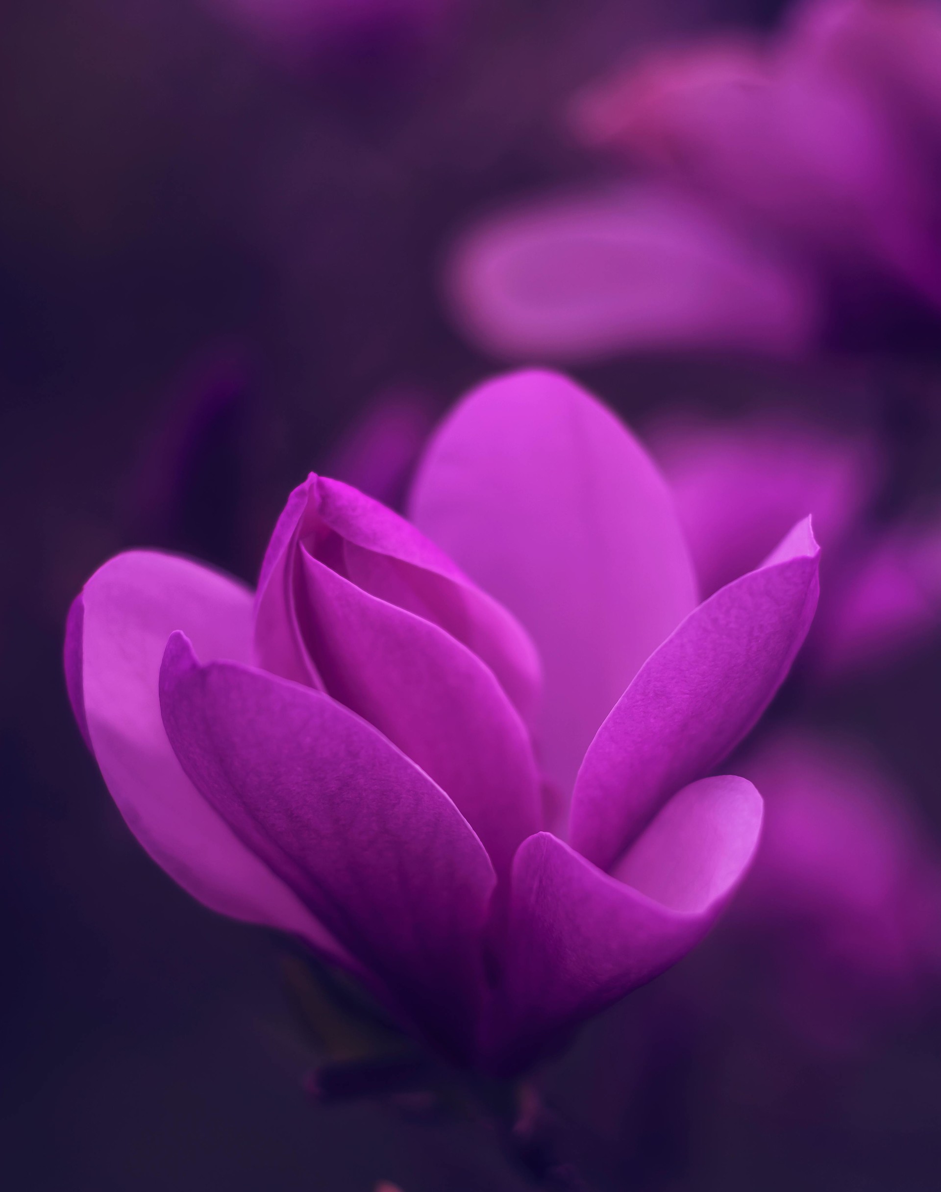 mobile background