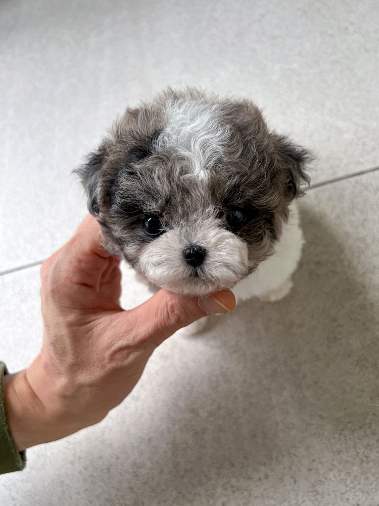 상품 이미지