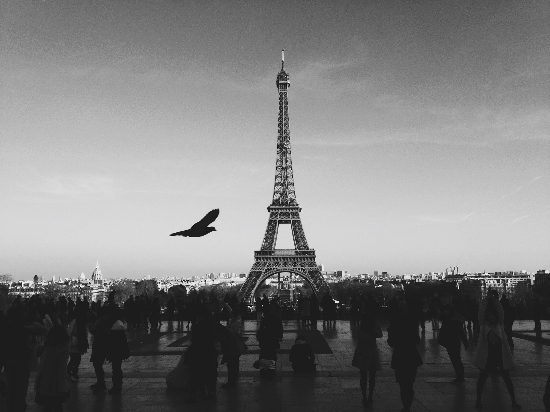 mobile background