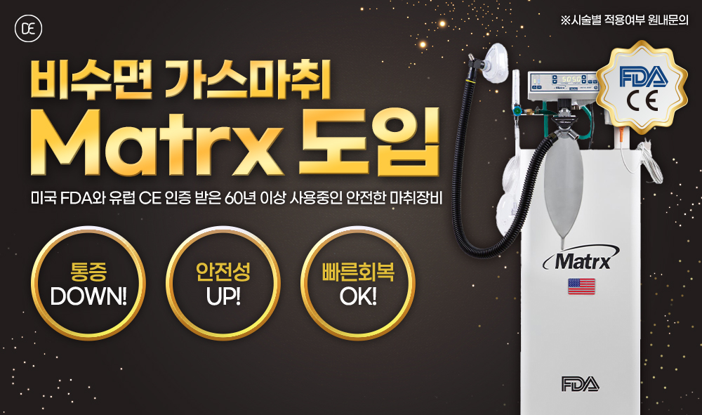 비수면가스마취