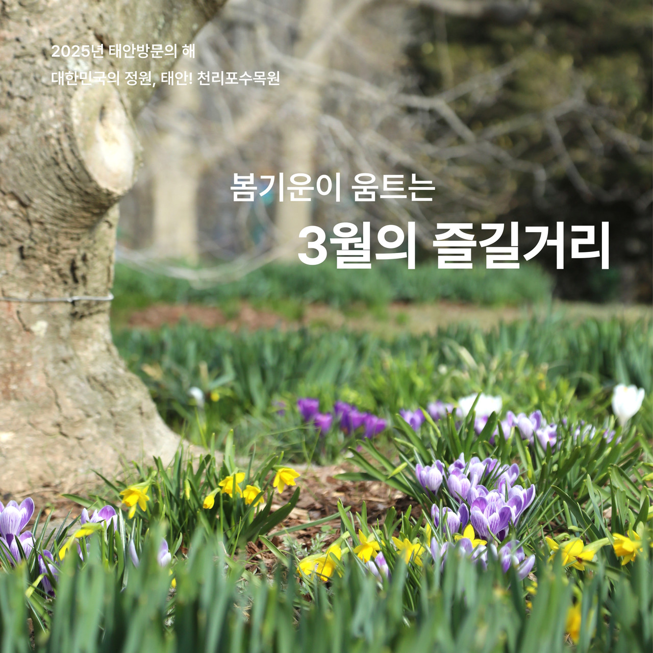 예약링크