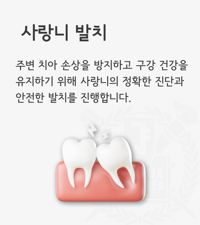 주변 치아 손상을 방지하고 구강 건강을 유지하기 위해, 사랑니의 정확한 진단과 안전한 발치를 진행합니다.