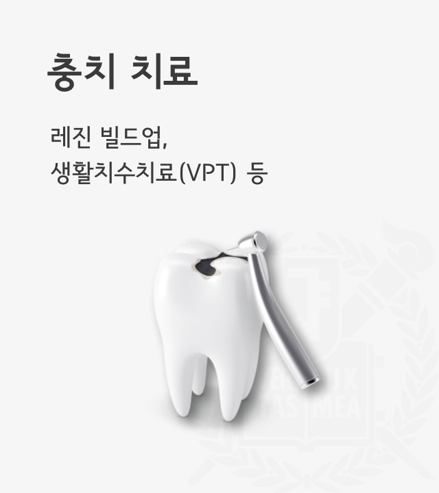 충치부터 잇몸까지,   가능한 한 치아를 살리는 방향으로, 레진 빌드업부터 생활치수치료(VPT)등을 진행합니다.