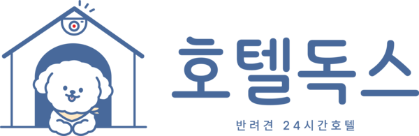 호텔 독스 강아지 호텔&유치원