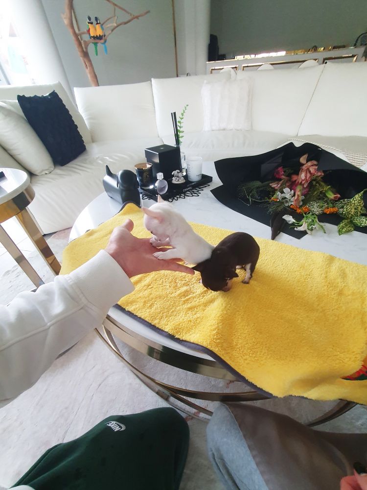 상품 이미지