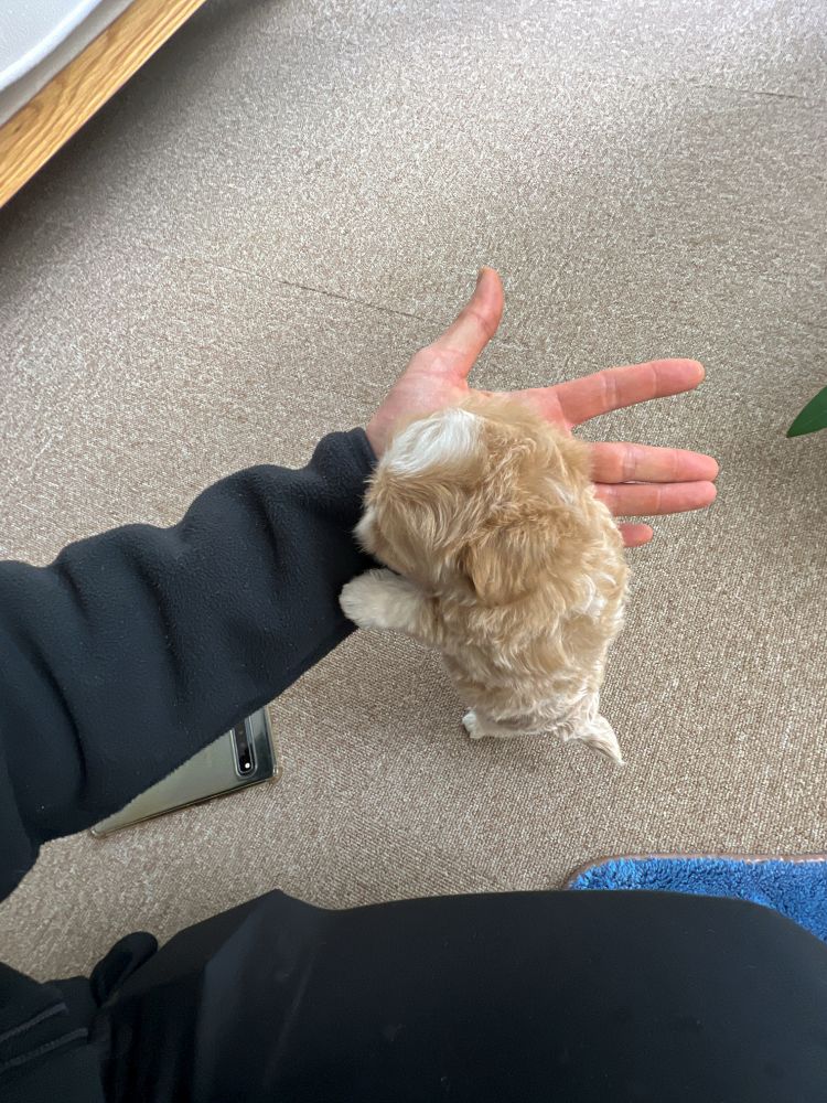 상품 이미지