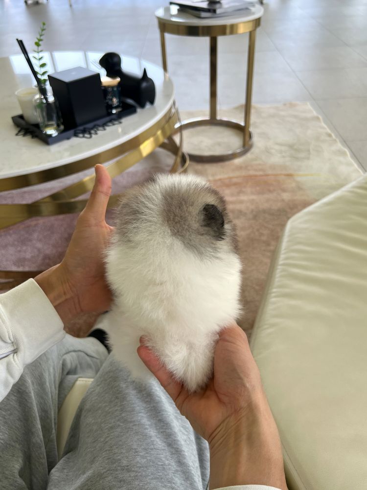 상품 이미지