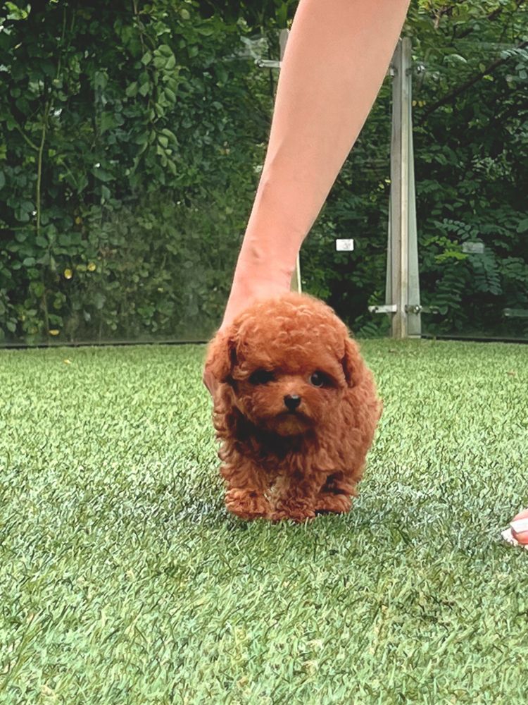 상품 이미지