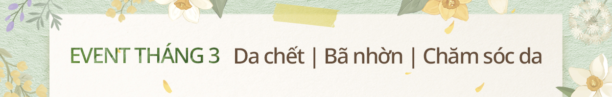 Không gồm VAT