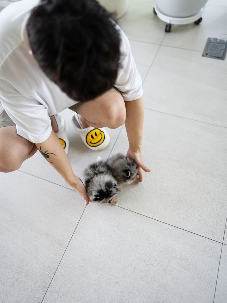 상품 이미지