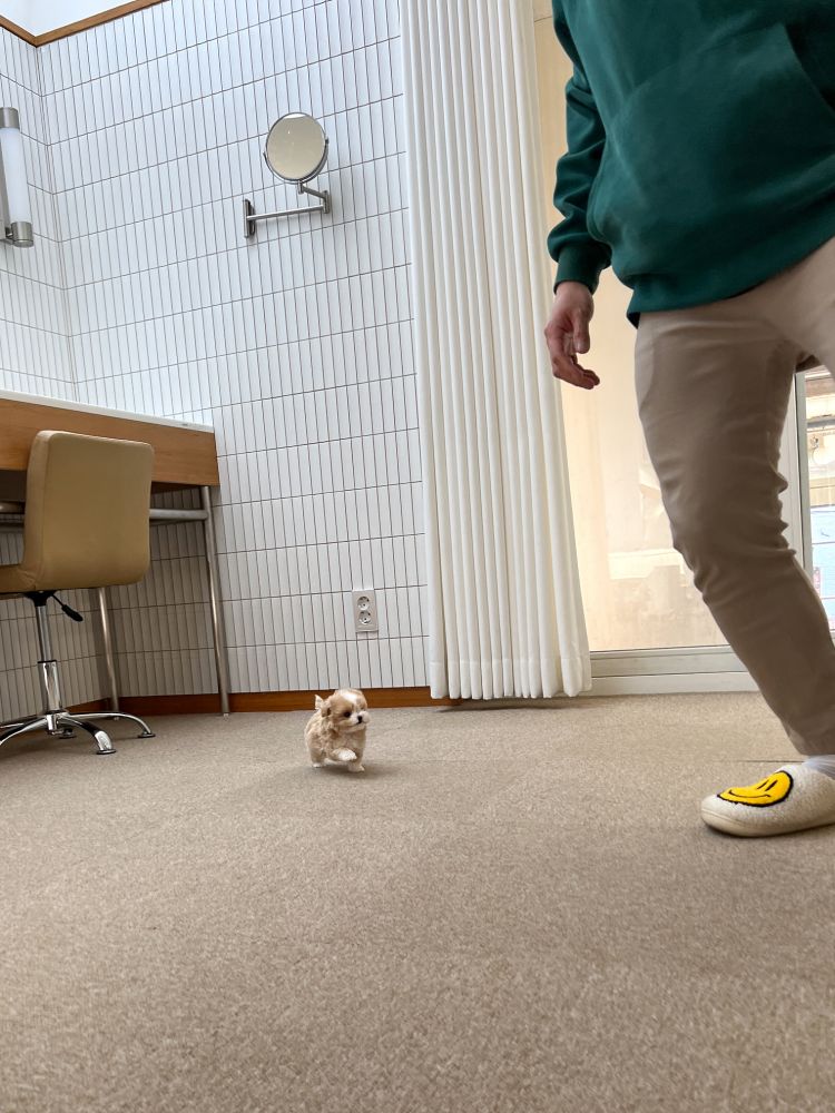 상품 이미지