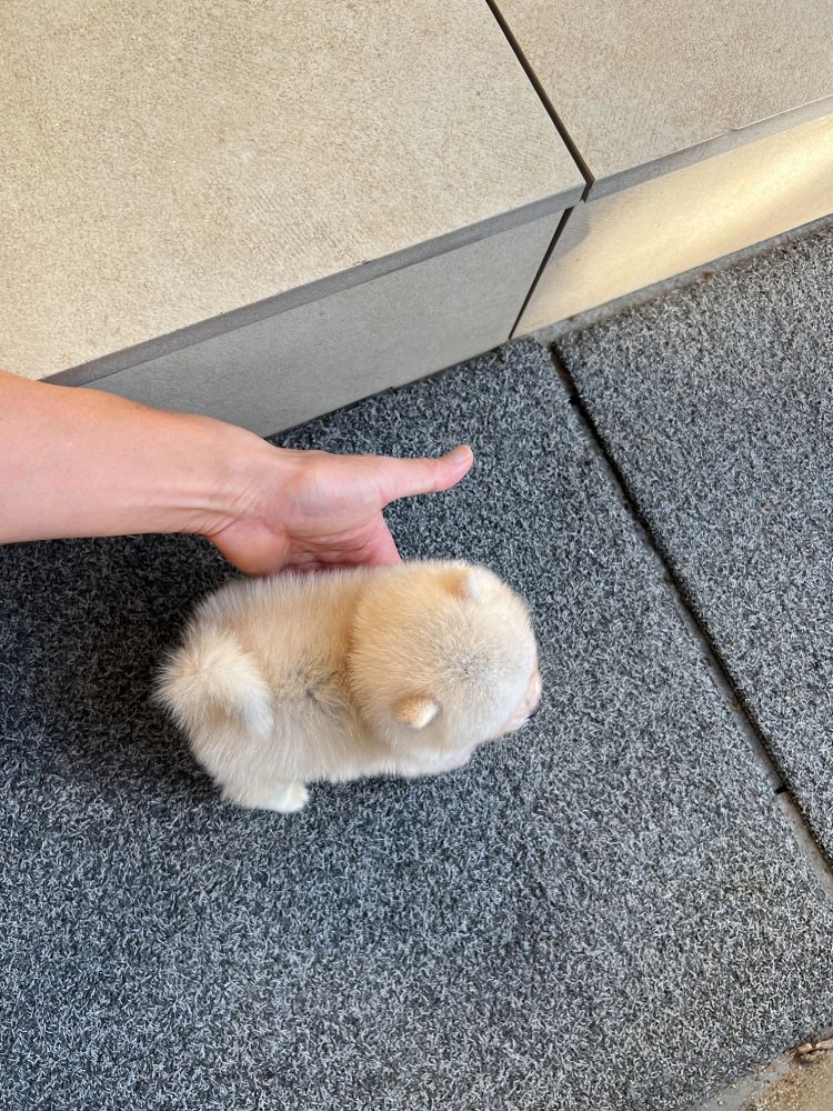 상품 이미지