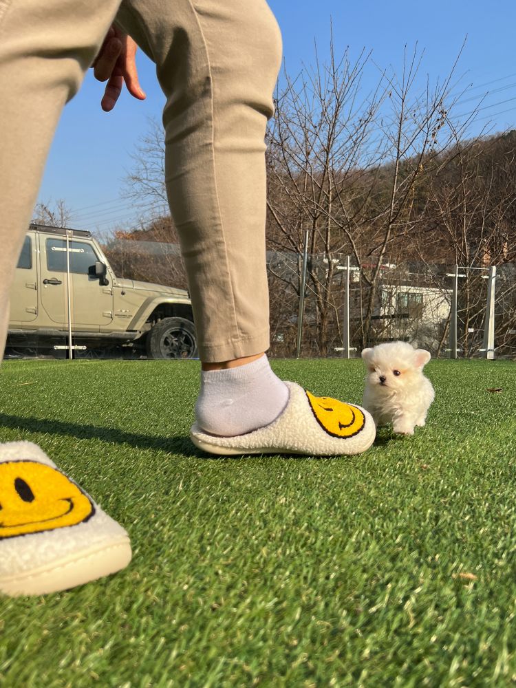 상품 이미지