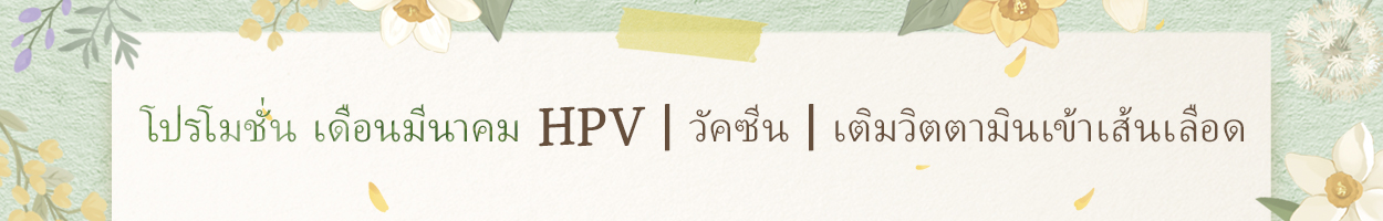 ไม่รวม VAT 