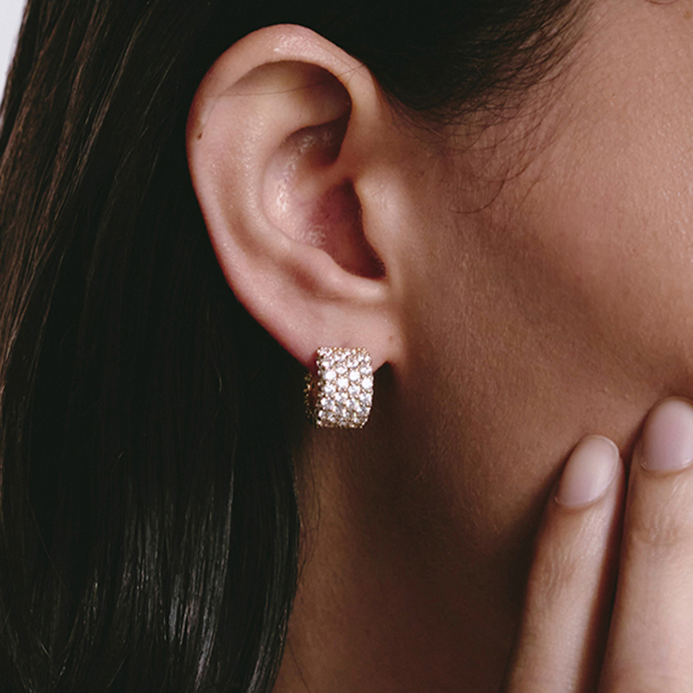 <p style="margin-left:10px;"></p><h5 style="margin-left:10px">Earrings</h5>