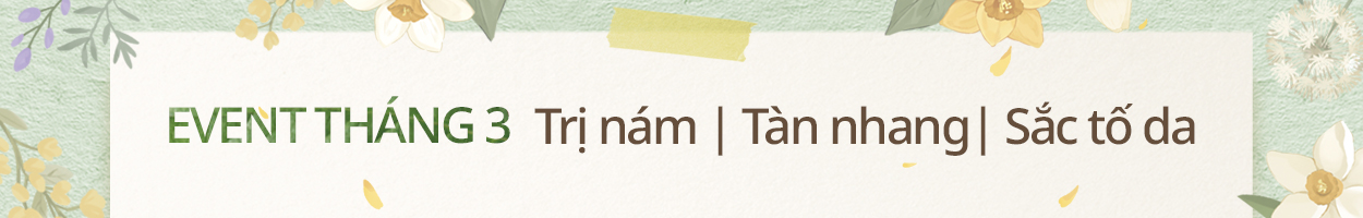 Không gồm VAT