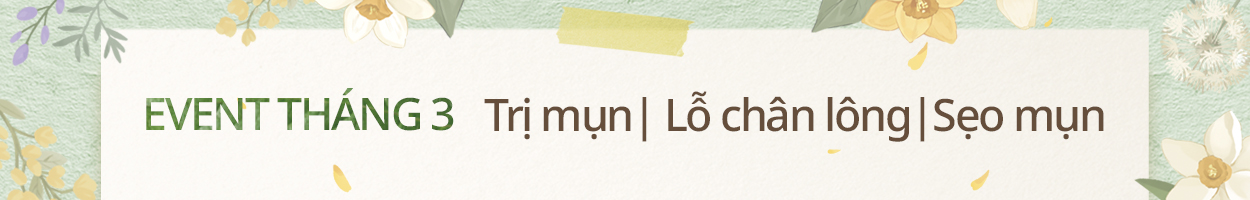 Không gồm VAT
