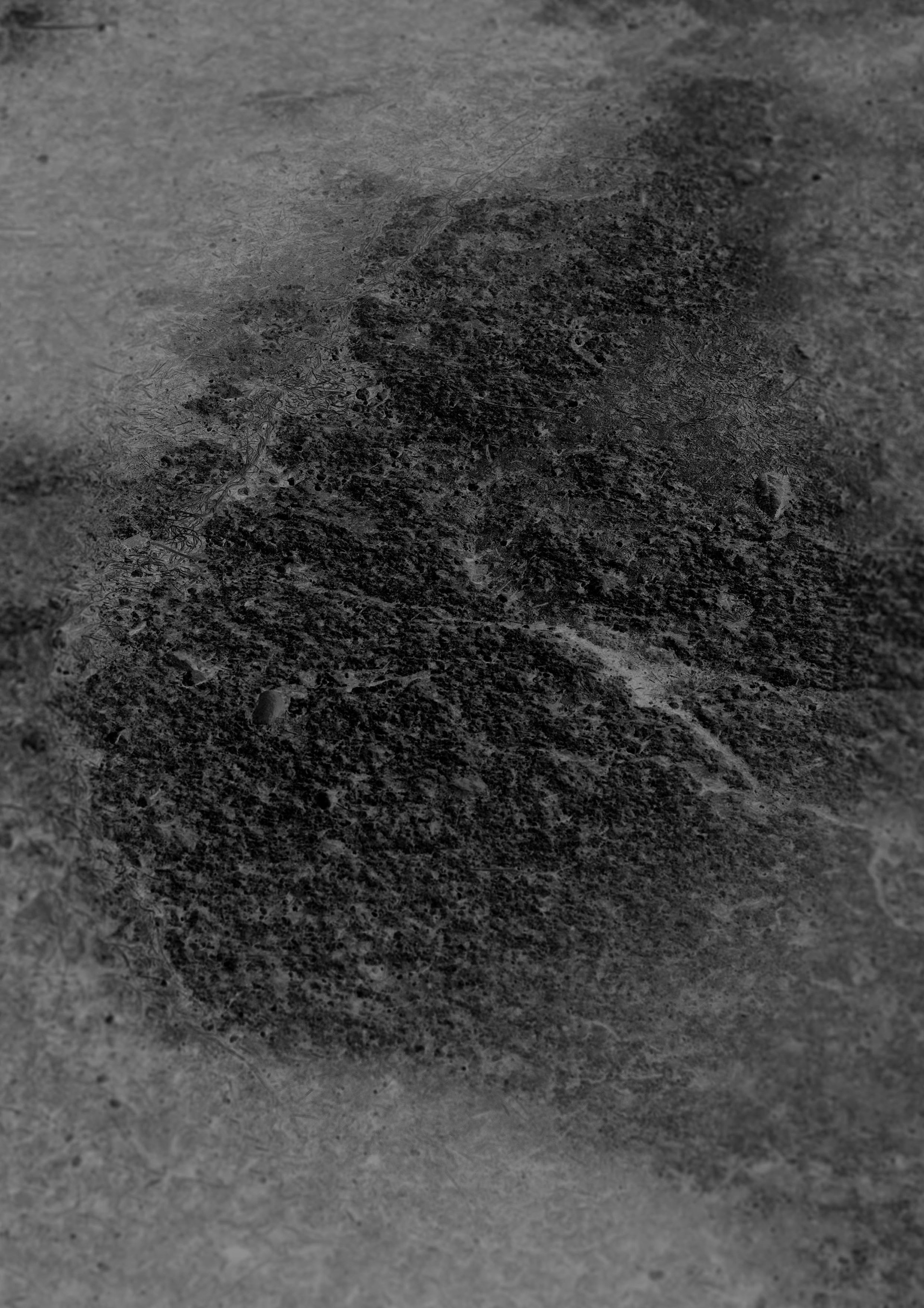 Top View, Digital Image, 2021