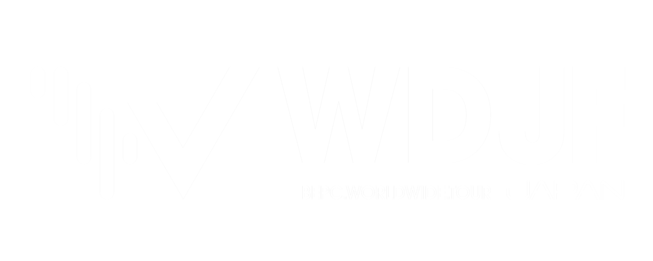World DJ Festival Japan