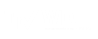 World DJ Festival Japan