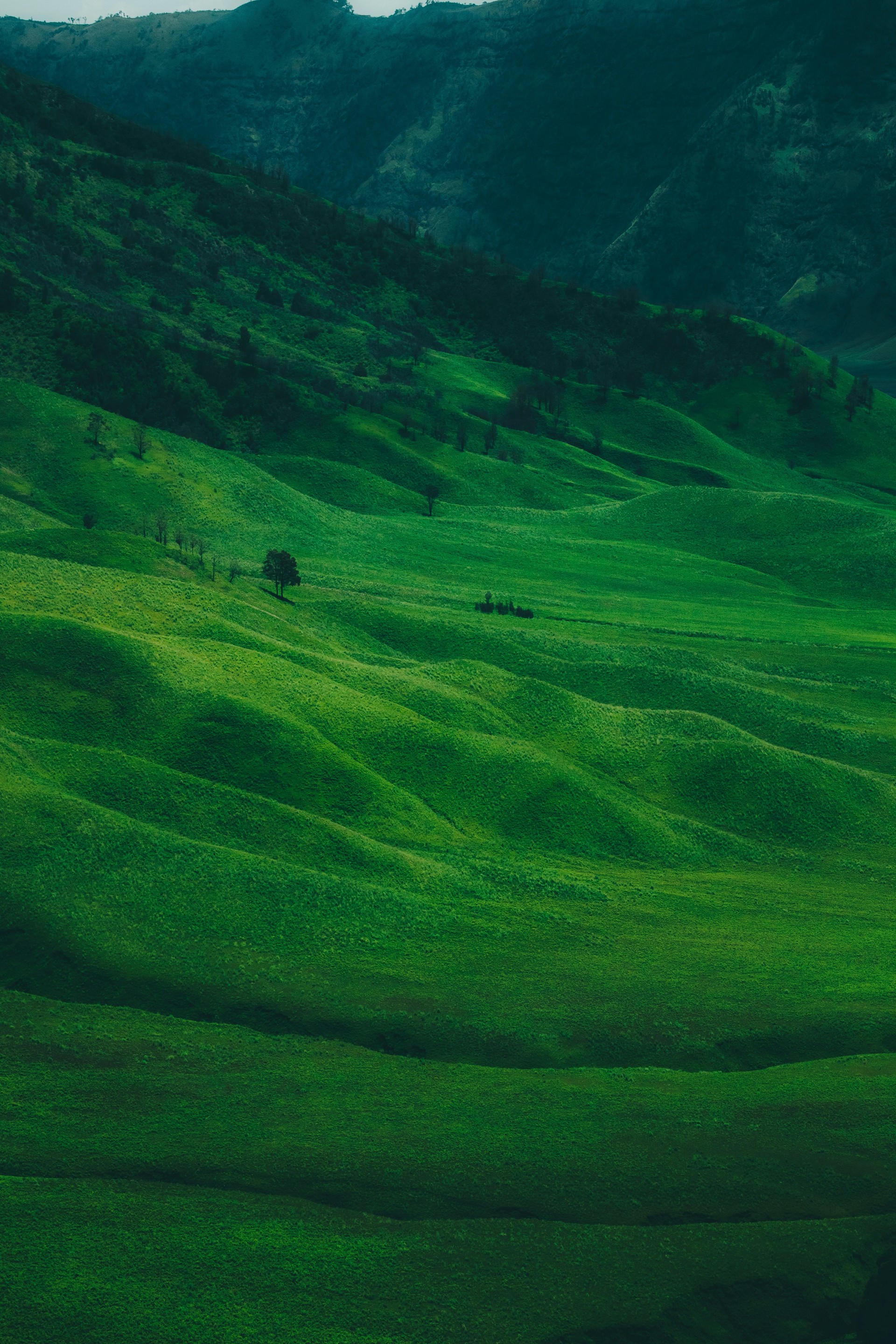 mobile background