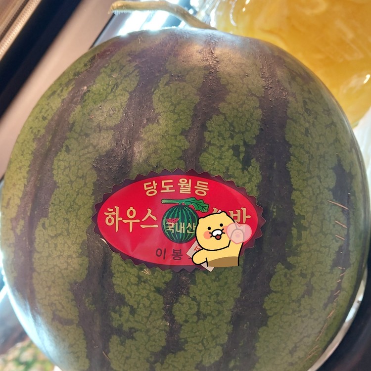 상품 이미지