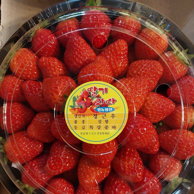 상품 이미지