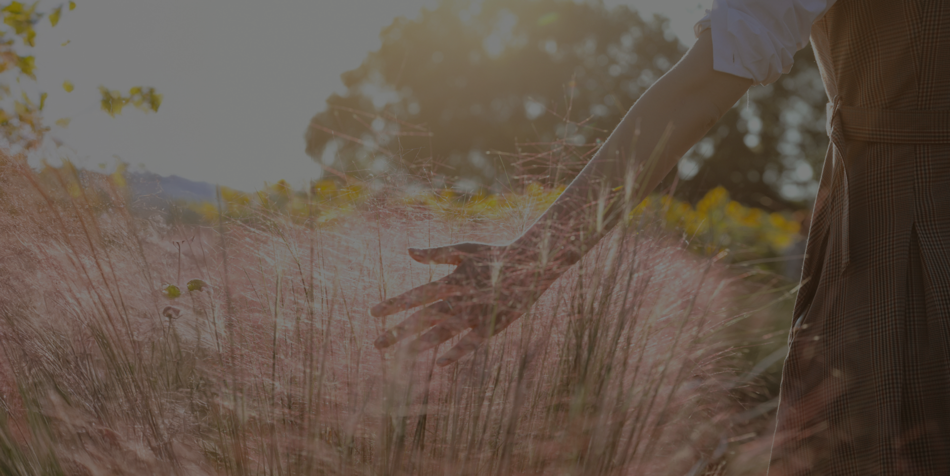 mobile background