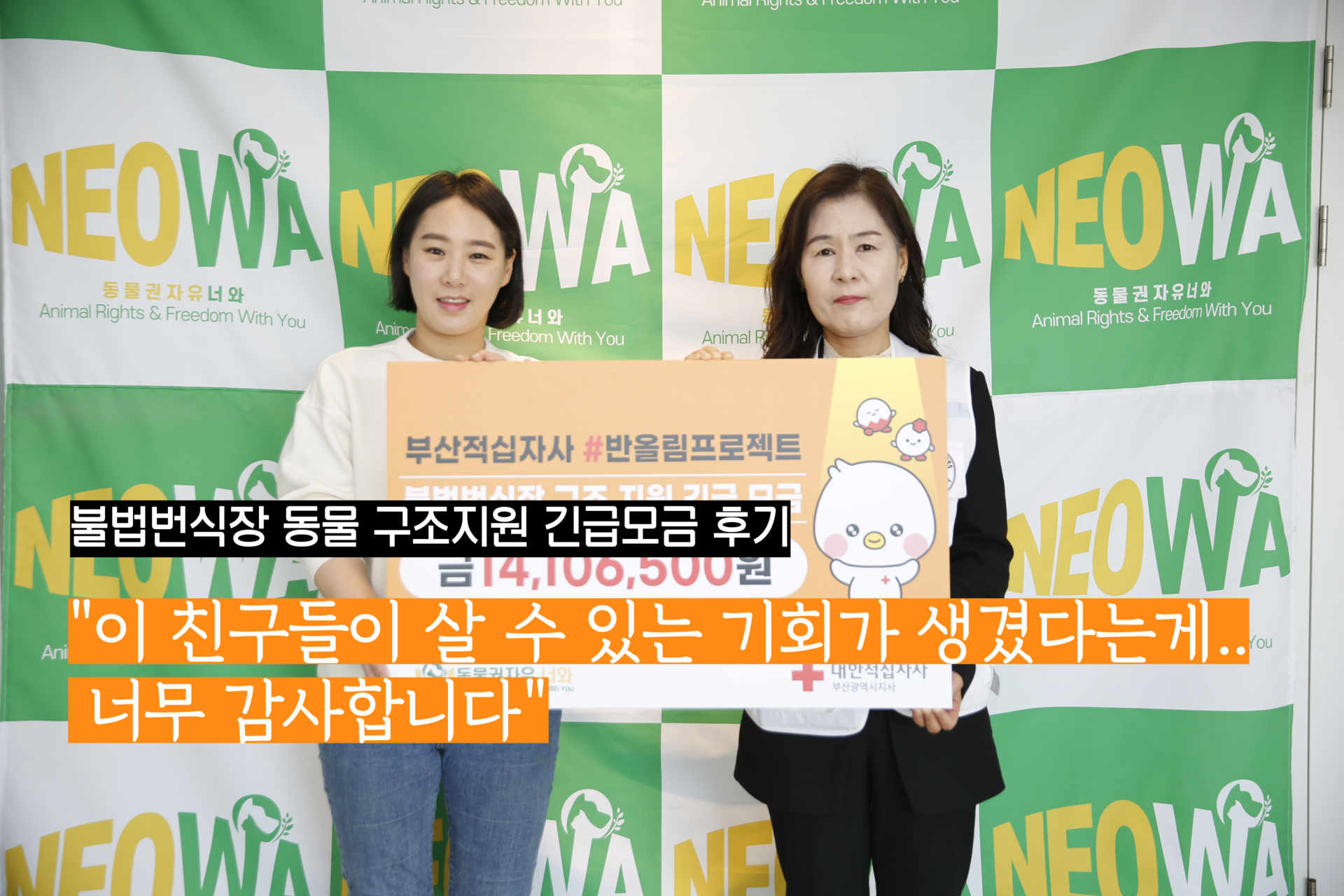 불법번식장 동물 구조지원 긴급모금 후기
