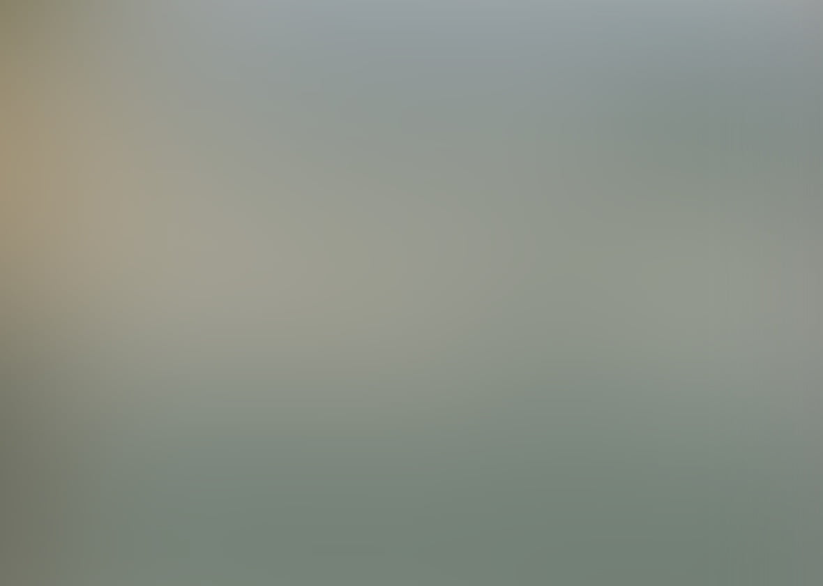 <strong>COMPANY</strong>