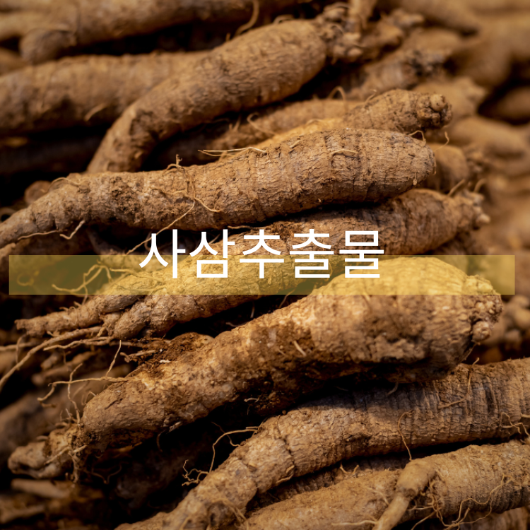 사삼추출물 : 동일팜텍님의 웹사이트