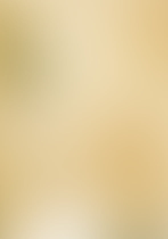 <strong>PARTNERS</strong>