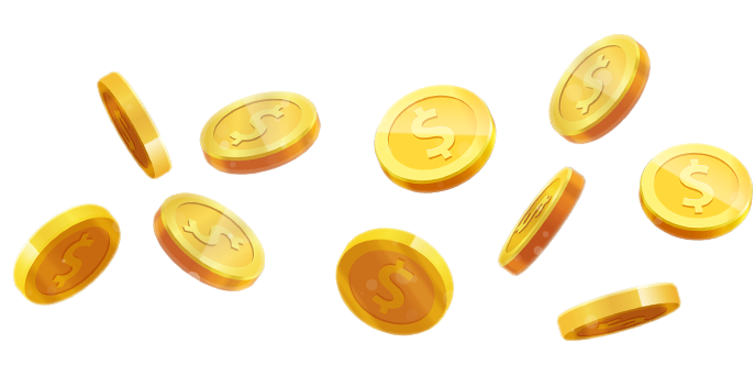 코인 모음