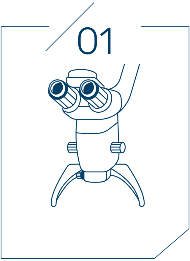 <strong>1단계 미세현미경으로 검진</strong>