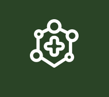 항산화 효능 평가