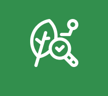 미백 효능 평가