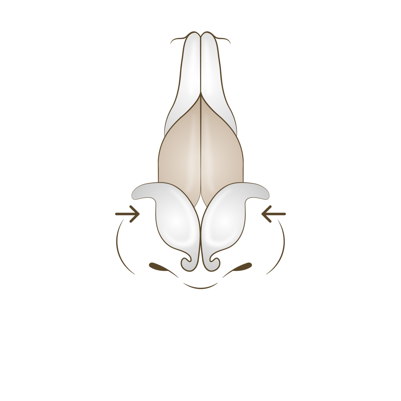 수술 후<br>