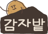 [공식몰] 춘천 감자밭