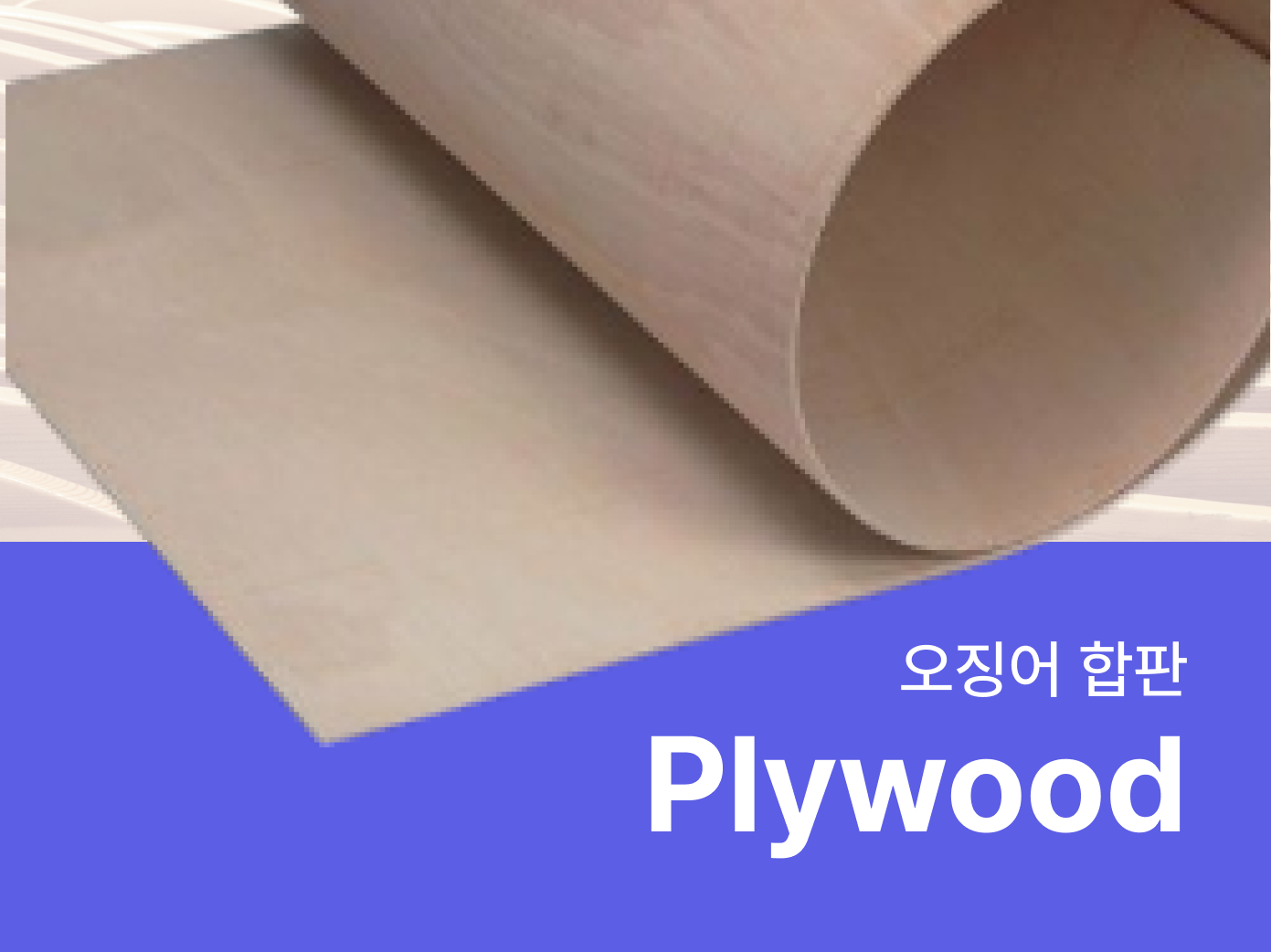 오징어합판