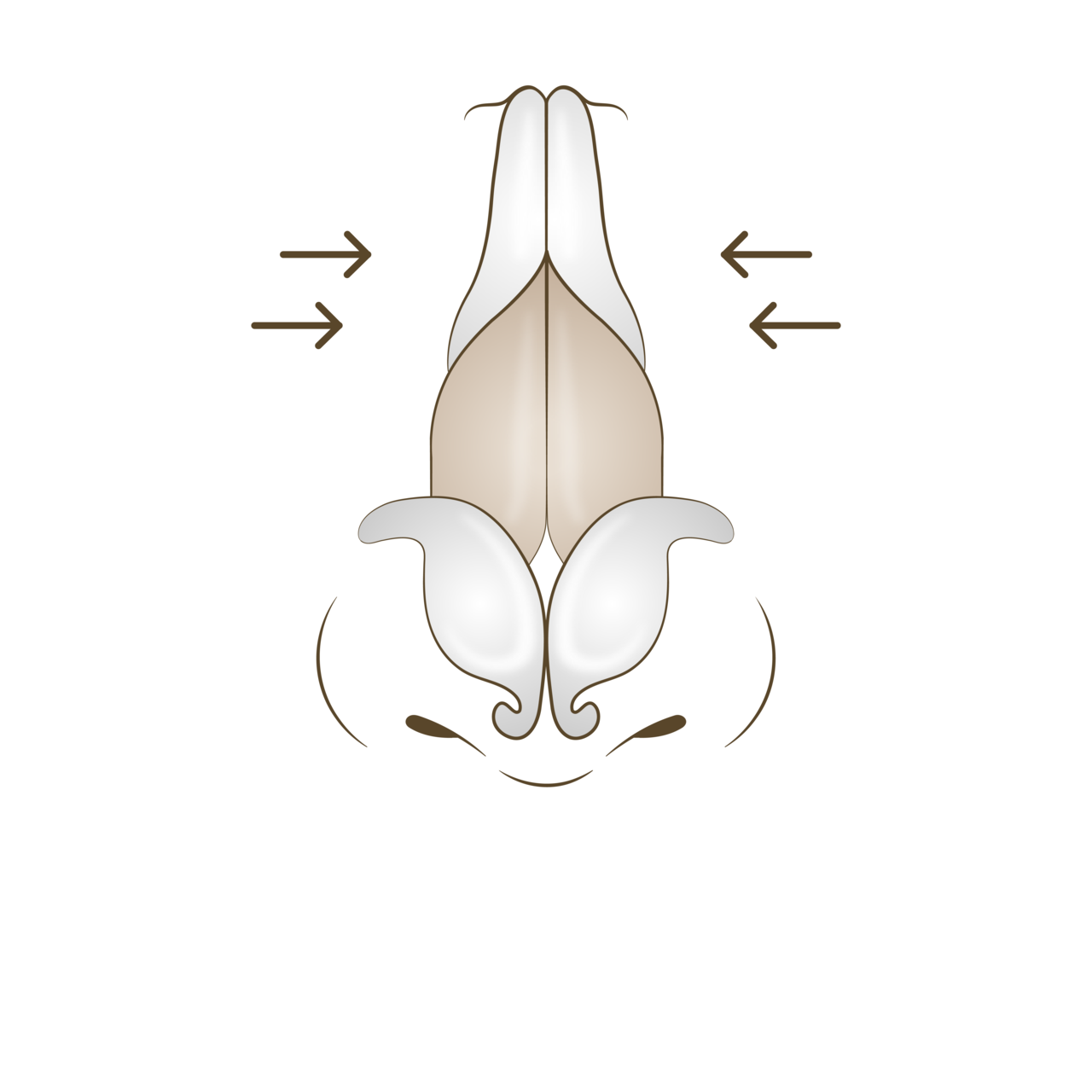교정 후 <br>